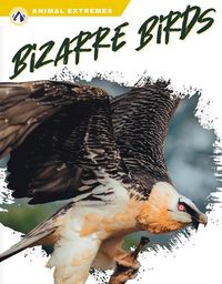 Produktbild: Bizarre Birds