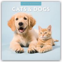 Produktbild: Cats & Dogs &ndash; Katzen & Hunde 2027 &ndash; 16-Monatskalender