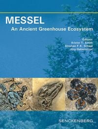 Produktbild: MESSEL - An Ancient Greenhouse Ecosystem
