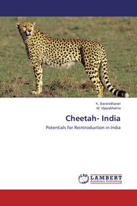 Produktbild: Cheetah- India