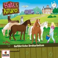 Produktbild: Folge 17: Gef&auml;hrliche Dreharbeiten
