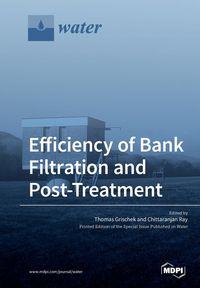 Produktbild: Efficiency of Bank Filtration and Post-Treatment