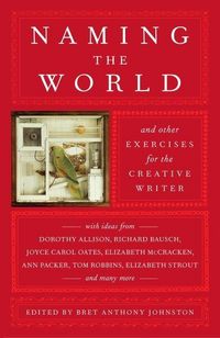 Produktbild: Naming the World