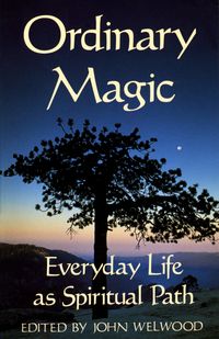 Produktbild: Welwood, J: Ordinary Magic