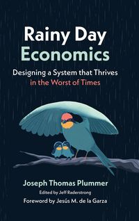 Produktbild: Rainy Day Economics