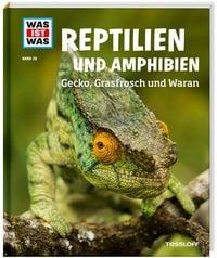 Bild vom Artikel WAS IST WAS  Band 20 Reptilien und Amphibien. Gecko, Grasfrosch und Wa vom Autor Alexandra Rigos