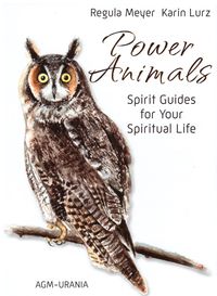 Produktbild: Power Animal Cards GB