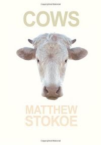 Produktbild: Cows