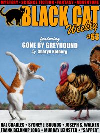 Produktbild: Black Cat Weekly #63