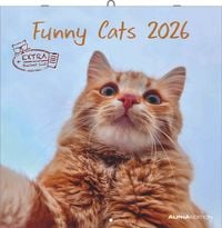 Produktbild: Funny Cats 2026 - Broschürenkalender 30x30 cm (30x60 geöffnet) - Kalender mit Platz für Notizen - Katzen - Bildkalender - Wandplaner - Katzenkalender