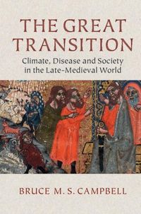 Produktbild: Great Transition