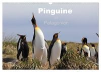 Produktbild: Pinguine in Patagonien (Wandkalender 2027 DIN A3 quer), CALVENDO Monatskalender