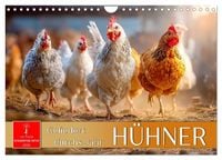 Produktbild: H&uuml;hner - gefiedert durchs Jahr (Wandkalender 2026 DIN A4 quer), CALVENDO Monatskalender