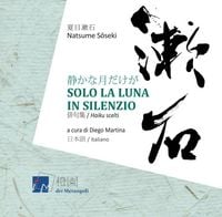 Produktbild: Solo la luna in silenzio