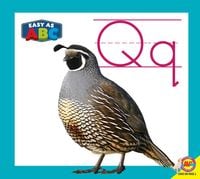 Produktbild: Qq