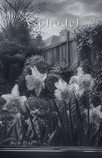 Produktbild: Asphodel