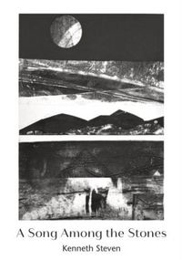 Produktbild: A Song Among the Stones
