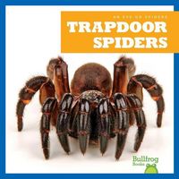Produktbild: Trapdoor Spiders