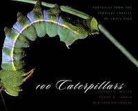Produktbild: 100 Caterpillars: Portraits from the Tropical Forests of Costa Rica