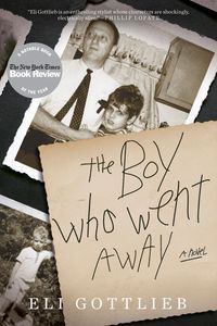 Produktbild: The Boy Who Went Away