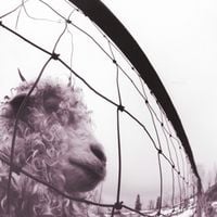 Produktbild: Vs. (30th Anniversary Edition)
