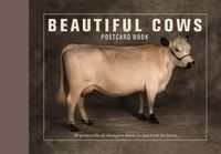Produktbild: Postcard Bk-Beautiful Cows Pos