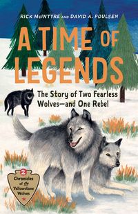 Produktbild: A Time of Legends