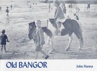 Produktbild: Old Bangor
