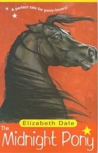 Produktbild: The Storm Pony