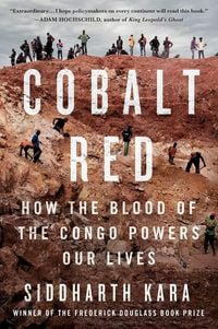Produktbild: Rosso cobalto. Come il sangue del Congo alimenta le nostre vite