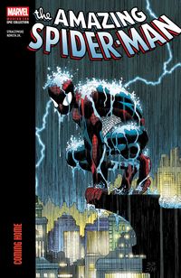 Produktbild: Straczynski, J: Amazing Spider-Man Modern Era Epic Collectio