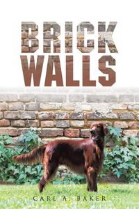 Produktbild: Brick Walls
