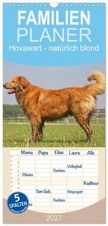 Produktbild: Familienplaner 2027 - Hovawart - nat&uuml;rlich blond mit 5 Spalten (Wandkalender, 21 x 45 cm) CALVENDO