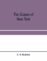 Produktbild: The grapes of New York