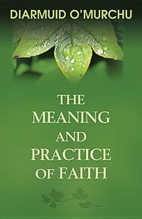 Produktbild: The Meaning and Practice of Faith