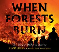 Produktbild: When Forests Burn