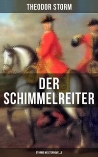 Produktbild: Der Schimmelreiter (Storms Meisternovelle)