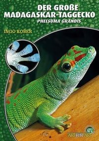 Produktbild: Der Gro&szlig;e Madagaskar-Taggecko
