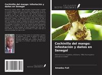 Produktbild: Cochinilla del mango: infestaci&oacute;n y da&ntilde;os en Senegal