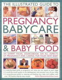 Produktbild: The Illustrated Guide to Pregnancy, Babycare & Baby Food: An Expert Visual Sourcebook on All Aspects of Pregnancy and Caring for Your New Baby