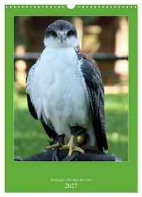 Produktbild: Raubv&ouml;gel - Die J&auml;ger der L&uuml;fte (Wandkalender 2027 DIN A3 hoch), CALVENDO Monatskalender