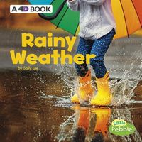 Produktbild: Rainy Weather