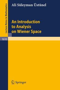 Bild vom Artikel An Introduction to Analysis on Wiener Space vom Autor Ali S. Üstünel