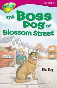 Produktbild: Oxford Reading Tree: Level 10: Treetops Stories: Boss Dog of