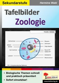Produktbild: Tafelbilder Zoologie
