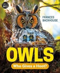 Produktbild: Owls
