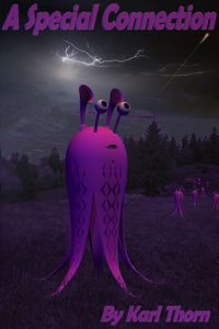 Produktbild: A Special Connection