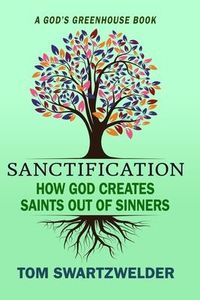 Produktbild: Sanctification: How God Creates Saints out of Sinners