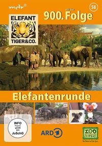 Elefant, Tiger & Co. - Teil 58 - Elefantenrunde von 