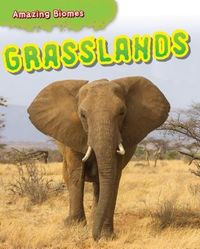 Produktbild: Grasslands